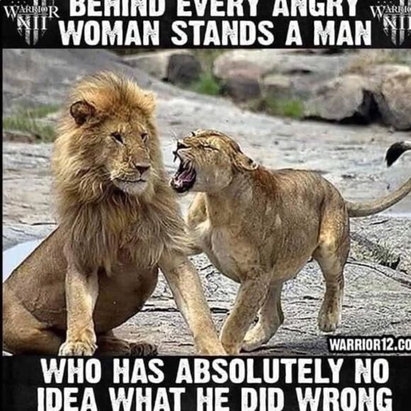 ISO Disney 50th Celebration McDonalds Toys For TRADE ONLY PFFS Girlsquad - Picture 7 of 15